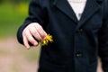 Dandelion in child hand. boy in a jacket Royalty Free Stock Photo