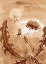 Dandelion in different phases of flowering. Hand drawn coffee on paper textures. ÃÂ¡offeedrawn collection. Bitmap image