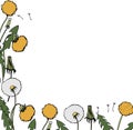 Dandelion drawing border. Vector floral frame. Wild botanical bloom. Great for tea packaging, label, icon, greeting ca