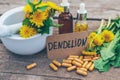 Dandelion extract and homeopathic supplements. Selective focus. Royalty Free Stock Photo