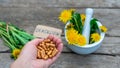 Dandelion extract and homeopathic supplements. Selective focus. Royalty Free Stock Photo