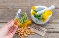 Dandelion extract and homeopathic supplements. Selective focus. Royalty Free Stock Photo