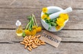 Dandelion extract and homeopathic supplements. Selective focus. Royalty Free Stock Photo