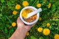 Dandelion extract and homeopathic supplements. Selective focus. Royalty Free Stock Photo