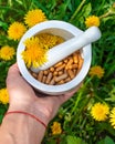 Dandelion extract and homeopathic supplements. Selective focus. Royalty Free Stock Photo