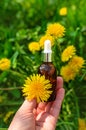 Dandelion extract and homeopathic supplements. Selective focus. Royalty Free Stock Photo