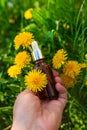Dandelion extract and homeopathic supplements. Selective focus. Royalty Free Stock Photo
