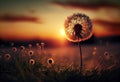 Dandelion In Field At Sunset.illustration. AI generative Royalty Free Stock Photo