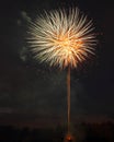 Dandelion Fire display