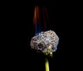 Dandelion fire Royalty Free Stock Photo