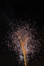 Dandelion Fireworks