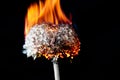 Dandelion flower on a black background, burn to ashes Royalty Free Stock Photo