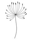 Dandelion flower in black linear style. Nature floral hand drawn stylized decorative blooming silhouette of fluffy seeds