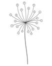 Dandelion flower in black linear style. Nature floral hand drawn stylized decorative blooming silhouette of fluffy seeds