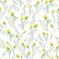 Dandelion Flower Fashio Pattern Seamless Royalty Free Stock Photo