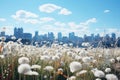 Dandelion flower field with city skyline in the background Royalty Free Stock Photo