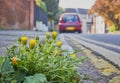 Weeds growing out of the pavement