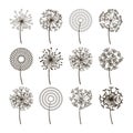 Dandelion flower icons. Dandelions fluffy seeds vector silhouettes Royalty Free Stock Photo