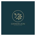 Dandelion flower logo with stem and leaves. Using modern vector concept design symbol icon illustration