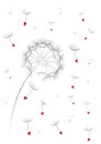 Dandelion flower red seeds in a heart shape flyingin the air isolated on the white background vertical, vector Royalty Free Stock Photo