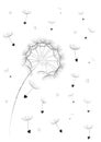 Dandelion flower seeds in a heart shape flyingin the air isolated on the white background vertical, vector