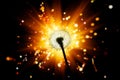 Abstract dandelion flower silhouette on shiny firework background