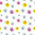 Dandelion flowers. Color floral abstract seamless pattern. Hand drawn watercolor vector on white background Royalty Free Stock Photo