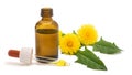 Dandelion flowers with essence bottle Royalty Free Stock Photo