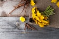 Dandelion Flowers And Roots And  Bottle With Extract On Vintage Wooden Background With Copy Space, Medicinal Herbs, Herbal