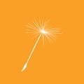 Dandelion fluff flies away from the wind. Royalty Free Stock Photo