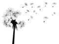 Dandelion flying background