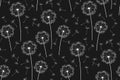 Dandelion flying seeds seamless pattern repeat wallpaper floral design template ornament boundless Royalty Free Stock Photo