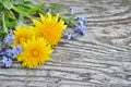 Dandelion and forget-me on a wooden background