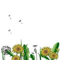 Freehand dandelion.Template for greeting cards, invitations. Graphic design page. Vector graphic flowers. Royalty Free Stock Photo