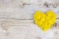 Dandelion heart on wood surface background copyspace Royalty Free Stock Photo