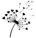 Dandelion with hearts. Black and white dandelion with flying seeds. Vector illustration of a summer flower. Silhouette