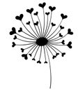 Dandelion with hearts. Black and white dandelion with flying seeds. Vector illustration of a summer flower. Silhouette Royalty Free Stock Photo