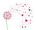 Dandelion with hearts. Happy Valentine's day greeting card. Lovely romance flower. Congratulation with Love Royalty Free Stock Photo