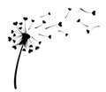 Dandelion with hearts. Royalty Free Stock Photo