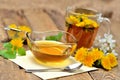 Dandelion honey, herbal tea, spring flower, spoon, fresh mint leaves and dandelion head around Royalty Free Stock Photo