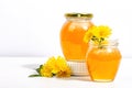 Dandelion jam or honey in the glass jar with fresh dandelion flowers isolated on white background Royalty Free Stock Photo