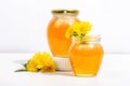 Dandelion jam or honey in the glass jar with fresh dandelion flowers isolated on white background Royalty Free Stock Photo