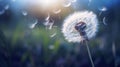 Dandelion macro close view. Created using Generative AI technology Royalty Free Stock Photo