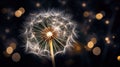Dandelion macro close view. Created using Generative AI technology Royalty Free Stock Photo