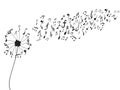 Dandelion with music notes Royalty Free Stock Photo