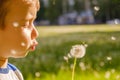 Dandelion nature child little cute. beautiful Royalty Free Stock Photo