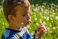 Dandelion nature child little cute. fun day Royalty Free Stock Photo