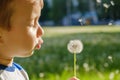 Dandelion nature child little cute. meadow Royalty Free Stock Photo