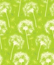Dandelion Repeater Pattern Background