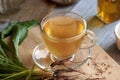 Dandelion root tea in a glass cup Royalty Free Stock Photo